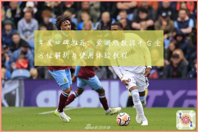 年度口碑推荐：爱游戏数据平台全方位解析与使用体验教程