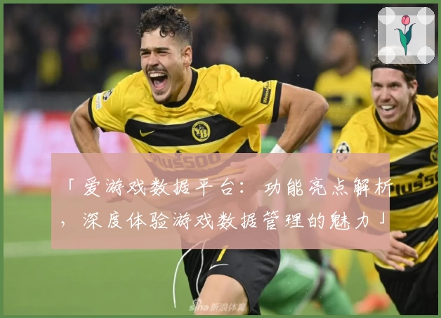 「爱游戏数据平台：功能亮点解析，深度体验游戏数据管理的魅力」