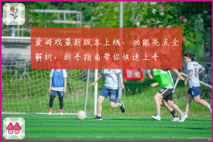 爱游戏最新版本上线，功能亮点全解析，新手指南带你快速上手